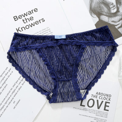 

Women Lace Transparent Panties Briefs Womens Jacquard Net Transparent Lace Underwear Mesh Yarn Lady Underwear Drop Ship