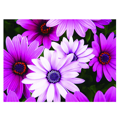 

Gobestart 5D Embroidery Paintings Rhinestone Pasted DIY Diamond Painting Cross Stitch