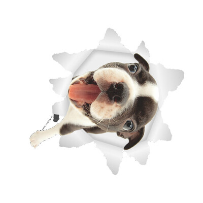 

3D Lovely Pet Self-adhesive Wallpaper Children Living Room Bathroom Toilet Decals Mural Tattoo