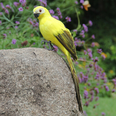 

Gobestart Colorful Fake Parrots Artificial Birds Model Outdoor Home Garden Lawn Tree Decor