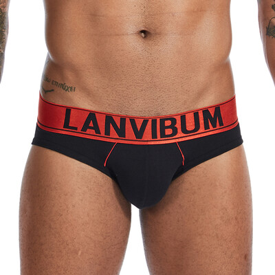 

Men Low Rise Breathable Underwear Bulge Pouch Briefs Elastic Knickers Underpants