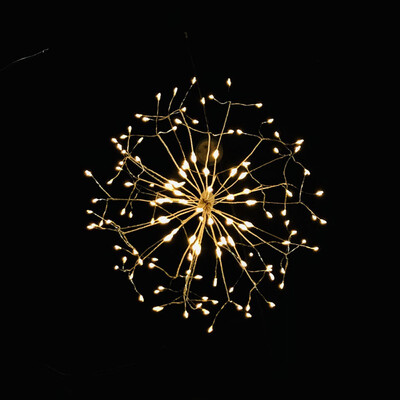 

Home Courtyard Floral Outdoor Tree Indoor Decor LED Remote Control Lamp Hang Light Modern Dandelion Timing LED Light