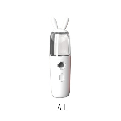 

Portable Facial Moisturizer Large Capacity Negative Ion Nano Sprayer Facial Steam Skin Care Tool