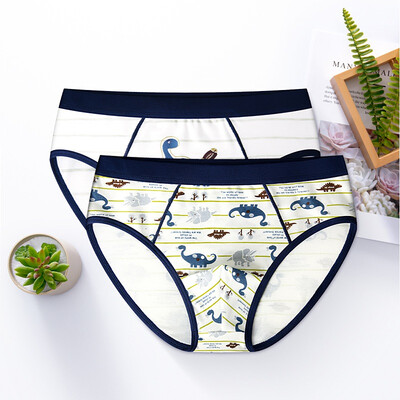 

Baby 2Pieceslot Panties Children 100 Cotton Underwear Boys Suits Clothes Child Clothing