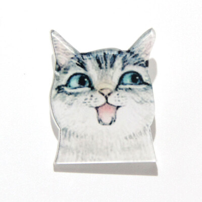 

Gernro Acrylic Badge Pin On Backpack Cats Badges For Clothes