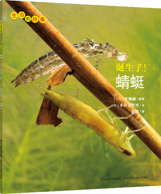 

生命的故事：诞生了！水虿