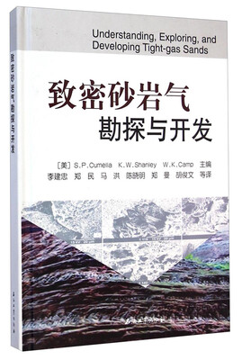 

致密砂岩气勘探与开发