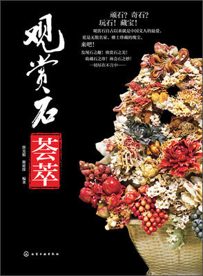 

观赏石荟萃