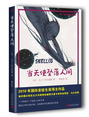 

当天使坠落人间/大卫·阿尔蒙德作品集