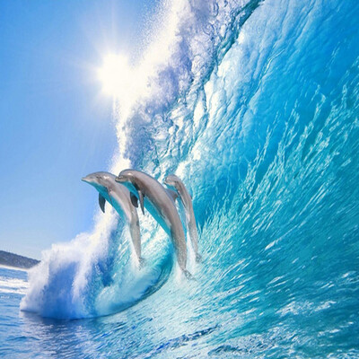 

Пользовательские 3D-обои для фото Ocean World Dolphin TV Background Wall Decorations Гостиная Спальня Home Decor Обои Mural