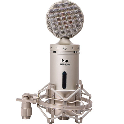 

ISK BM-5000 professional condenser microphone low noise high dynamic strong sound pressure network K song microphone