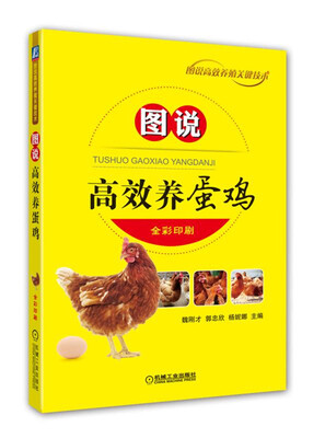 

图说高效养蛋鸡