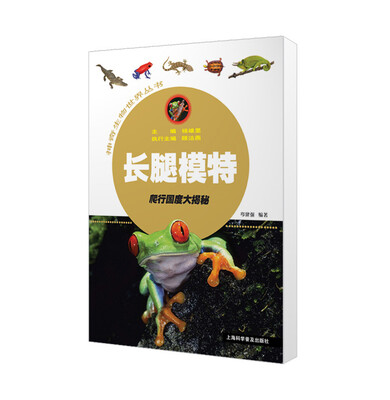 

长腿模特——爬行国度大揭秘