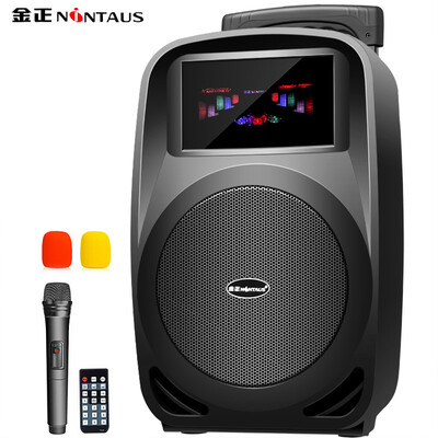 

Jinzheng NINTAUS K6-8 8 inch square dance stereo Bluetooth outdoor bar speakers with wireless microphone amplifier