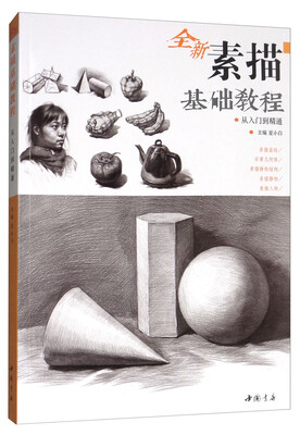 

主题教学系列丛书全新素描基础教程