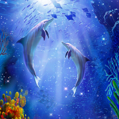 

Custom Photo Wallpaper 3D Dolphin Underwater World Living Room Entrance Hallway Bedroom Background Mural Wallpaper De Parede 3D