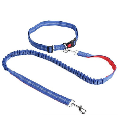 

Reflective Pet Dog Walking Leash Traction Rope Slip Lead Training Elastic Dog Collar Belt Adjustable Nylon Strap