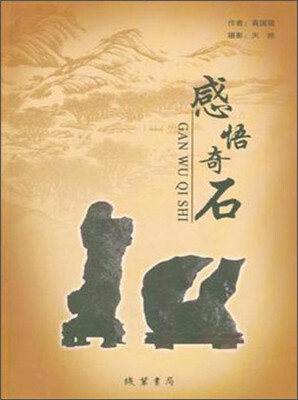 

感悟奇石