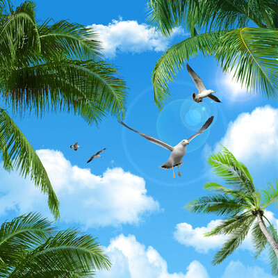 

Пользовательские 3D-обои для фото Blue Sky Sea Coconut Trees Seabirds Гостиная Подвесные потолки Нетканые настенные обои 3D
