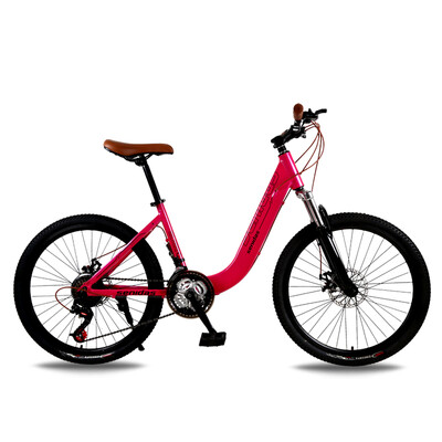 

Aluminum Alloy 24 inch bicycle lady students 21 speed 24 speed 27 speed mountain bike bicycle adult double brake damping