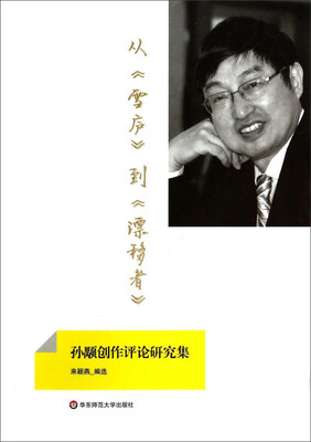 

从雪庐到漂移者：孙颙创作评论研究集