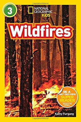 

Wildfires