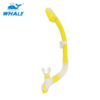 

Whale Brand профессиональное оборудование для подводного плавания с подводным плаванием с трубкой из 6 цветов с высоким качеством