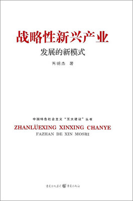 

战略性新兴产业发展的新模式
