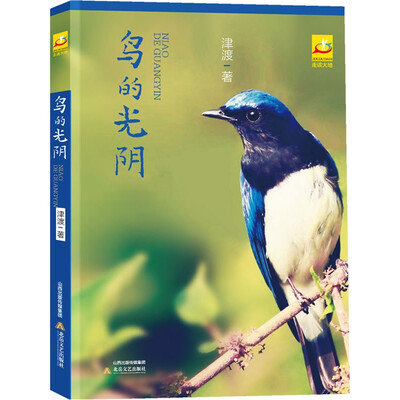 

鸟的光阴