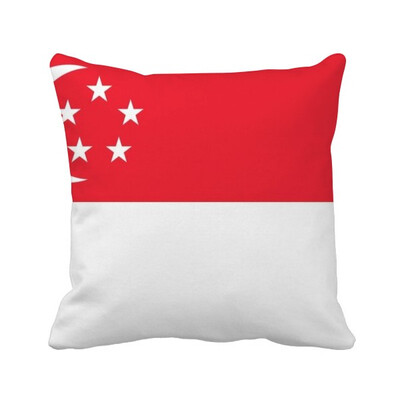 

Singapore National Flag Asia Country Square Throw Pillow Insert Cushion Cover Home Sofa Decor Gift