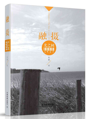 

融摄 光之树1937