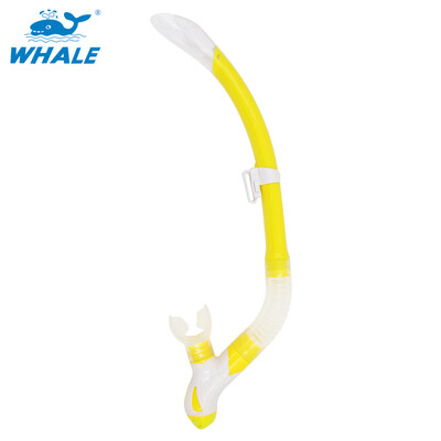 

Whale Brand professional scuba diving equipment breathing tube with 6 colors snorkel with