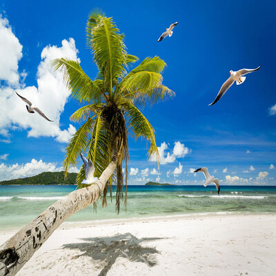 

Голубое небо и белые облака Песчаный пляж Кокосовые деревья Seagull Seaview Custom 3D Photo Wallpaper для гостиной Спальня настенная роспись