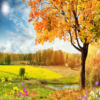 

Custom 3D Wall Mural Wallpaper Landscape Nature Golden Autumn Maple Scenery Living Room Sofa Background Embossed Wall Paper