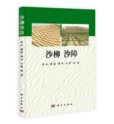 

沙柳沙障