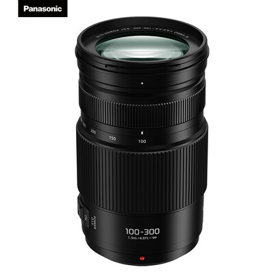 

Panasonic 100-300mm F40-56 Micro Single Electric Ultra Long Zoom Lens 35mm Camera Equivalent 200-600mm Telephoto Zoom