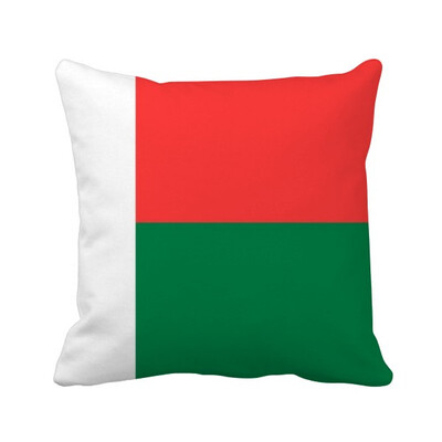 

Madagascar National Flag Africa Country Square Throw Pillow Insert Cushion Cover Home Sofa Decor Gift