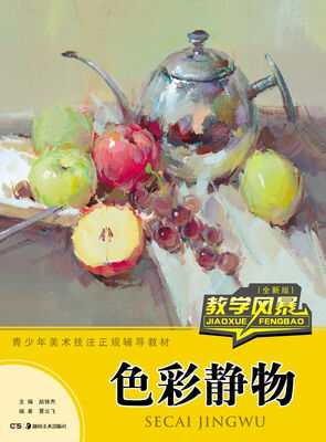 

教学风暴 色彩静物全新版