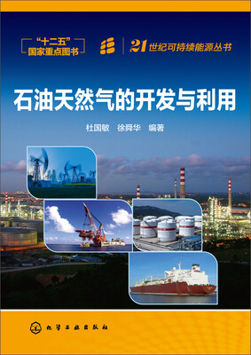 

21世纪可持续能源丛书石油天然气的开发与利用