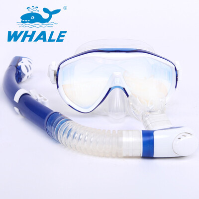 

Маска для дайвинга китов с однообъективой и большой рамкой Стеклянные линзы Freediving Mask Snorkel Set