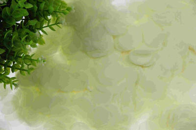 

Biodegradable 25CM Paper Confetti for Holiday Anniversary Birthday Graduation Wedding Bridal & Baby Parties Circles 30G