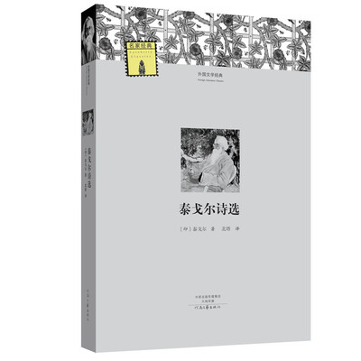 

外国文学经典：泰戈尔诗选