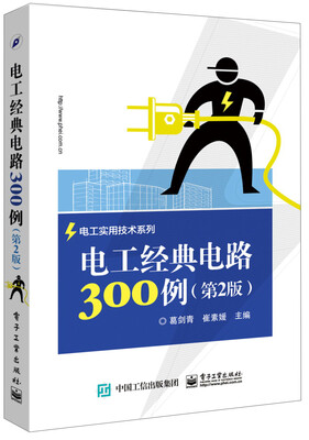 

电工实用技术系列：电工经典电路300例（第2版）