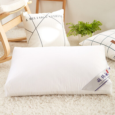 

Arctic velvet pillow home textile cotton three-dimensional side down pillow comfortable soft goose students adult pillow core white single 4066cm