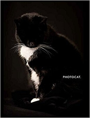

PhotoCat