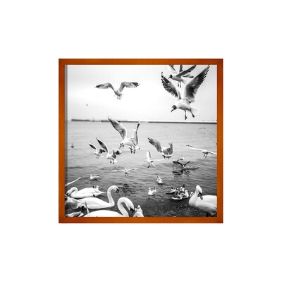 

GREEN GREENGALLERY simple modern square 16 inch solid wood walnut color hanging frame photo frame photo wall set photo creative combination photo frame
