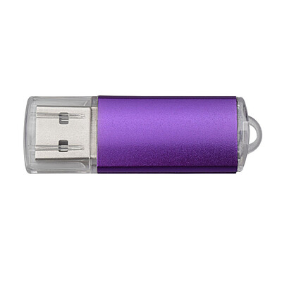 

Fillinlight Fresh Shiny Purple Color USB Flash Drive USB20 Memory Stick Memory Drive Pen Drive