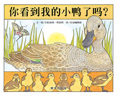 

信谊宝宝起步走你看到我的小鸭了吗