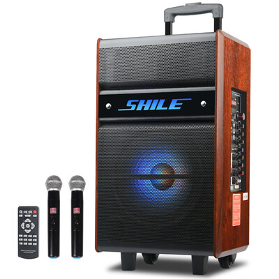 

Lion Music SHILE SD-5 15-inch high power square dance audio with Bluetooth card USB player with recording function to send dual wireless microphone