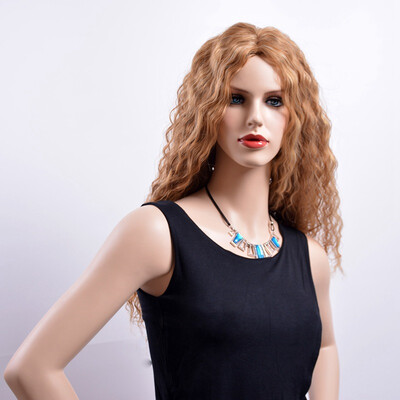 

QianBaiHui Long Deep Curly Wigs for African American Women Brown Synthetic Natural Hair Wigs Fashion Full Wig Wig Cap